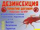 Уничтожение клопов, тараканов, грызунов, запахов в Норильске