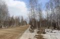 Продажа земельного участка, 60 га, д. Шамы (Саянский район)