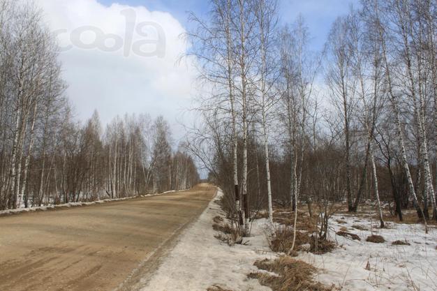 Продажа земельного участка, 60 га, д. Шамы (Саянский район)